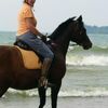 mintoduchess46
